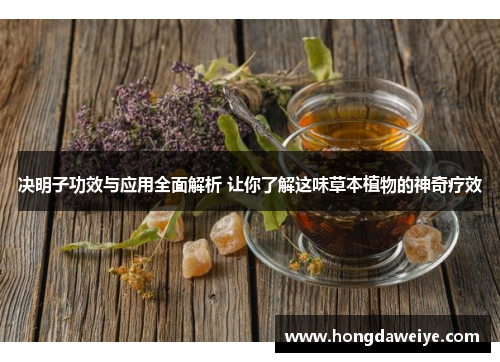 决明子功效与应用全面解析 让你了解这味草本植物的神奇疗效