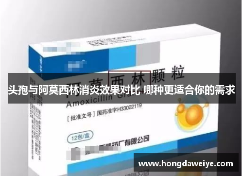 头孢与阿莫西林消炎效果对比 哪种更适合你的需求