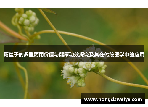 菟丝子的多重药用价值与健康功效探究及其在传统医学中的应用